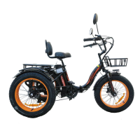Электровелосипед Kugoo Trike 750W 48V 15.6Ah