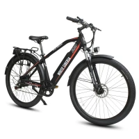 Электровелосипед WHITE SIBERIA ALLROAD 29 350W