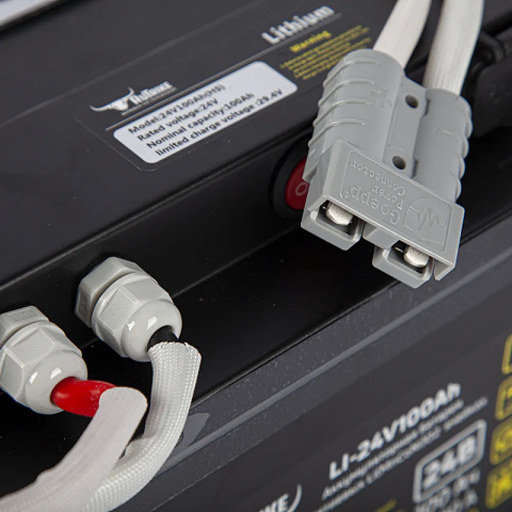 Литиевый тяговый аккумулятор RuTrike (18650 MnCoNi) 24V100A/H 3